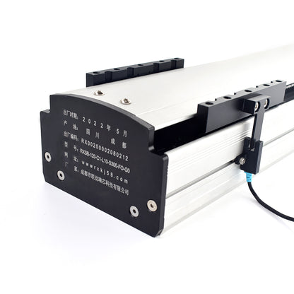 RXSB120 linear guide semi-enclosed ball screw precision linear module load 60kg